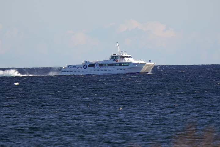 rs1584m.JPG
