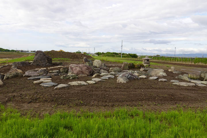 rs5190.JPG