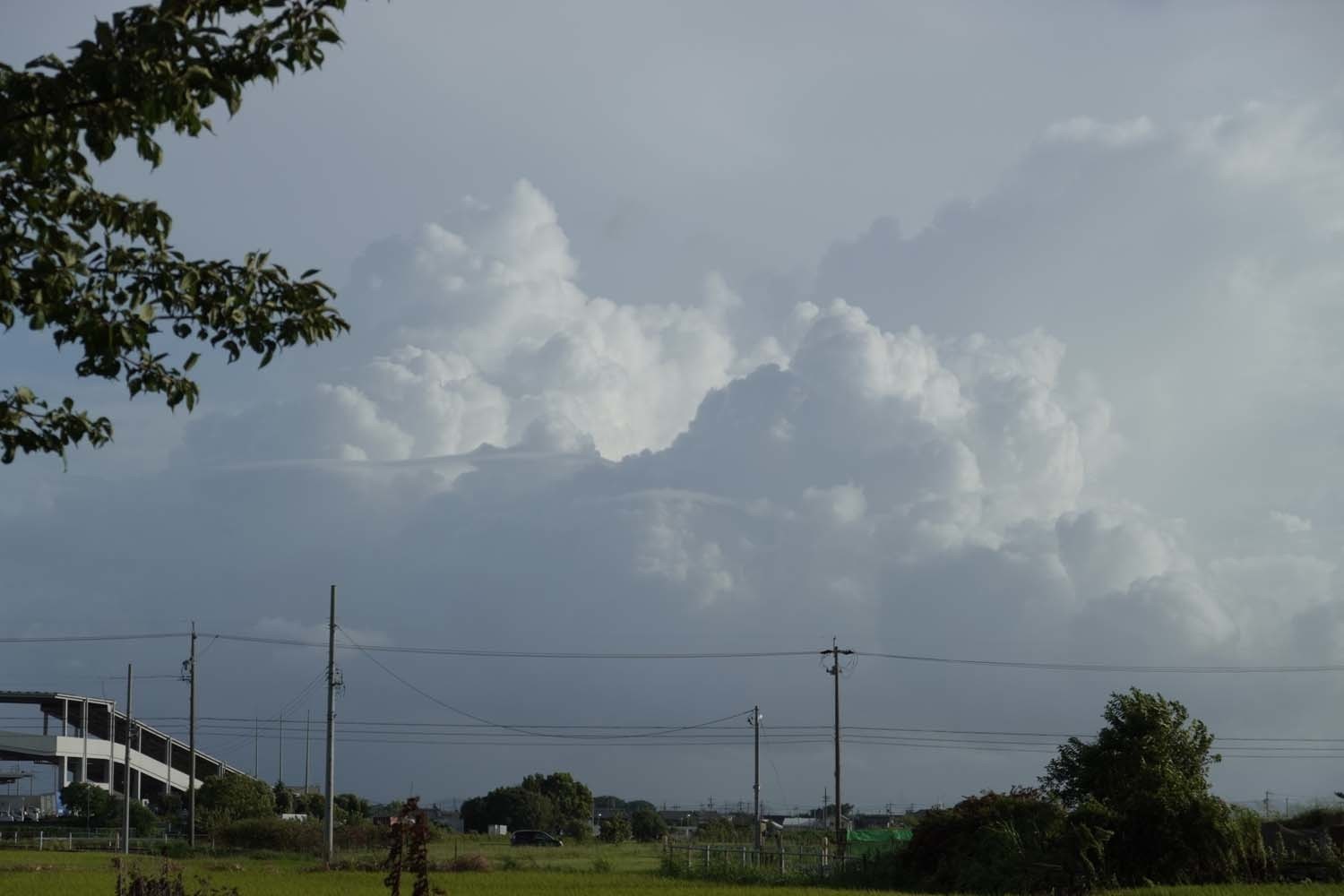 rs7568.JPG