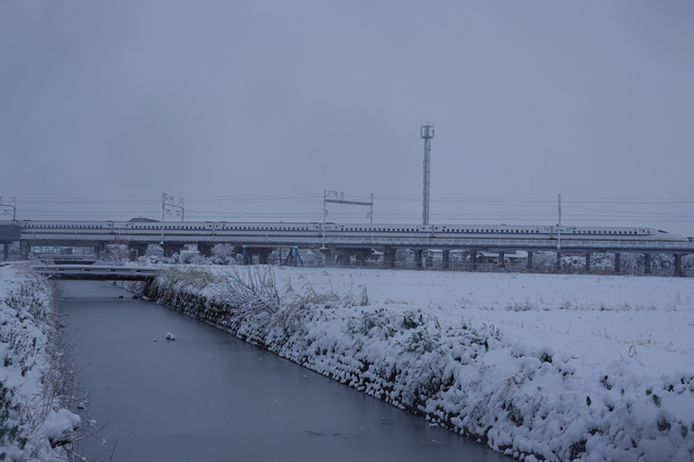 ss1412.JPG