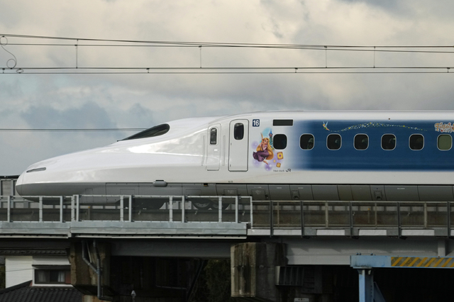 ss3913tm.JPG